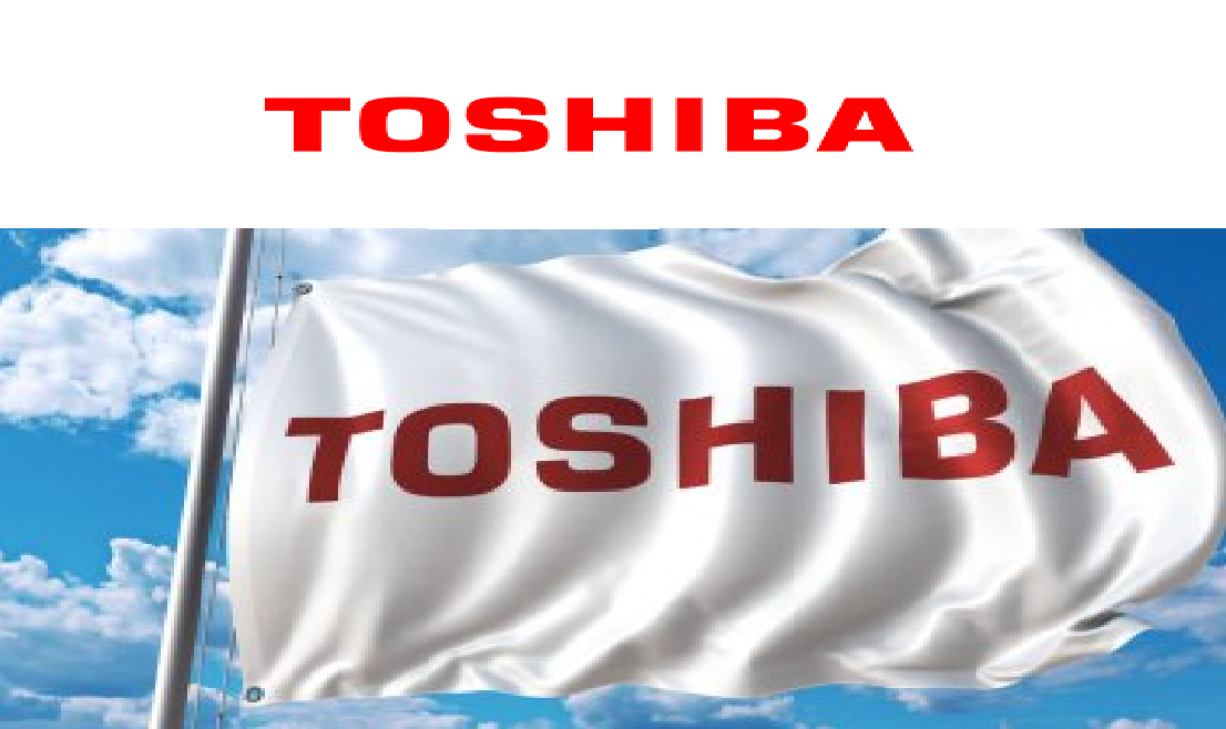 İzmir Aliağa Toshiba Kombi Klima Servisi